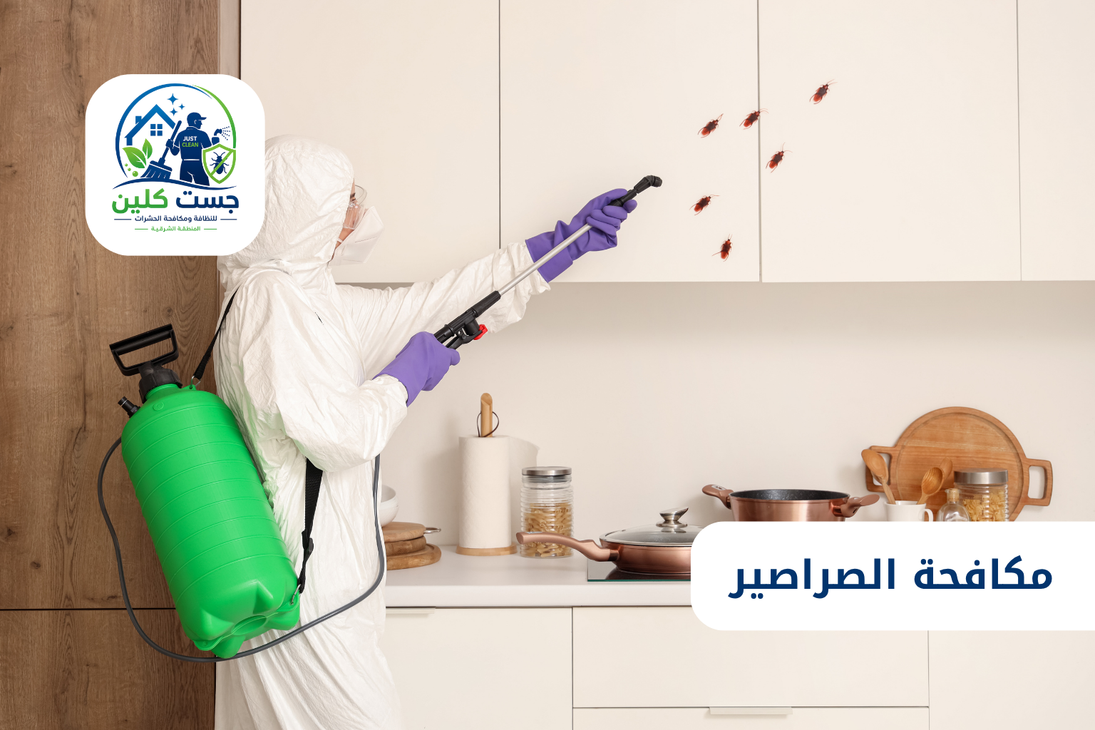 مكافحة الصراصير
